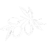 Astoria_villa_keri_zakynthos